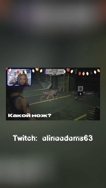 Собаки блин