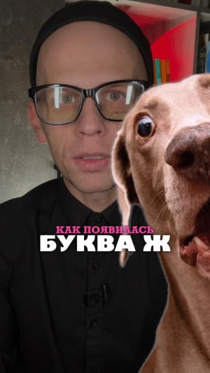 КАК ПОЯВИЛАСЬ БУКВА Ж