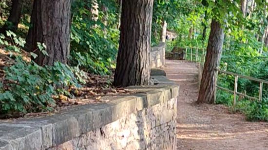 По дорожке в парке Кисловодска смотреть онлайн