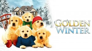 Золотая зима (2012) / Golden Winter