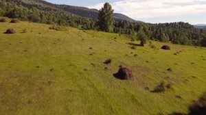 Таежная деревня без дорог в России. Там живут последние шорцы.