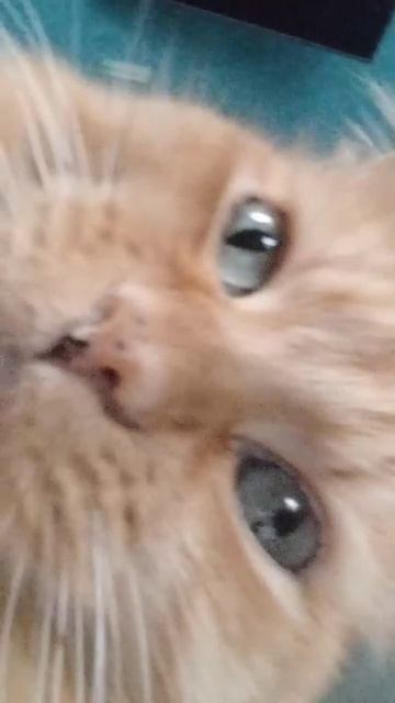 привет всем поможете добить сумку пд как у меня в Ютюбе?