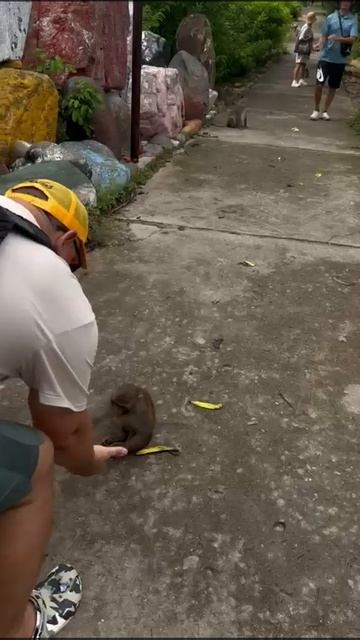 Остров обезьян