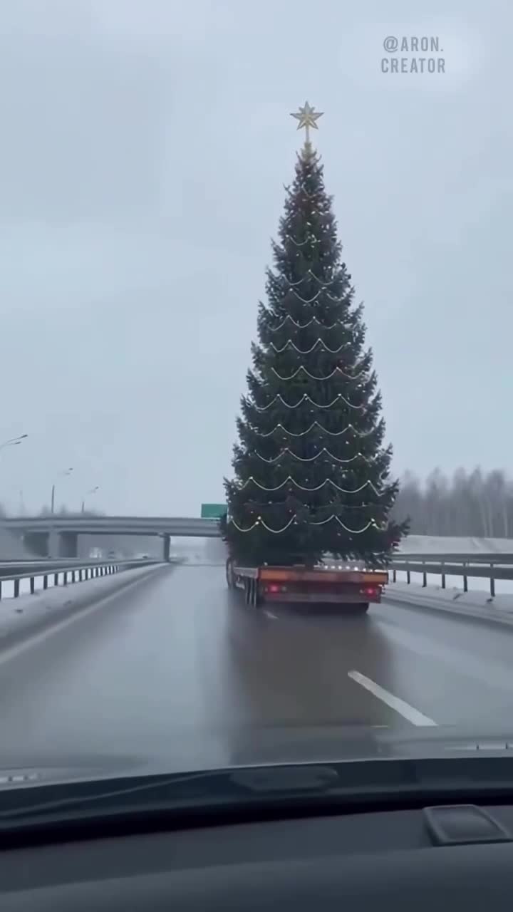 Здравствуй елка 🌲 Новый гoд 😂😂 смотреть онлайн