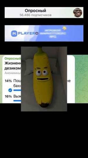 #Жизненная #ситуация #с дезиком?