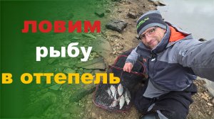 ловим рыбу в оттепель