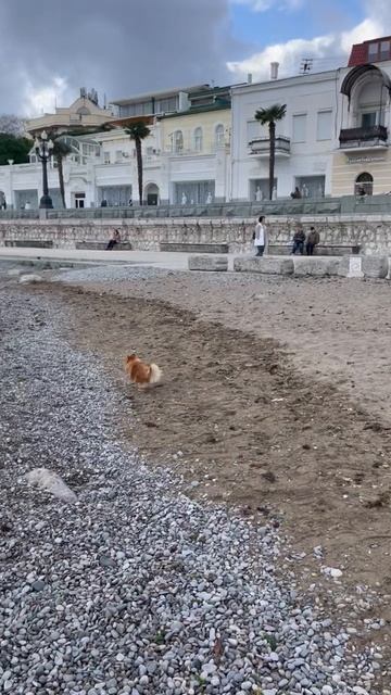 Мирочка веселиться 💖💖💖 смотреть онлайн