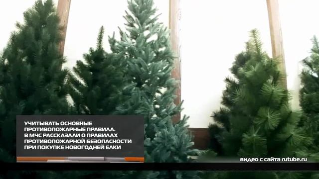 В МЧС рассказали о правилах противопожарной безопасности при покупке новогодней елки 22-12-2025 смотреть онлайн