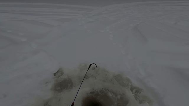 Рыбалка Зимой..ЯЗЬ прет..(1) смотреть онлайн