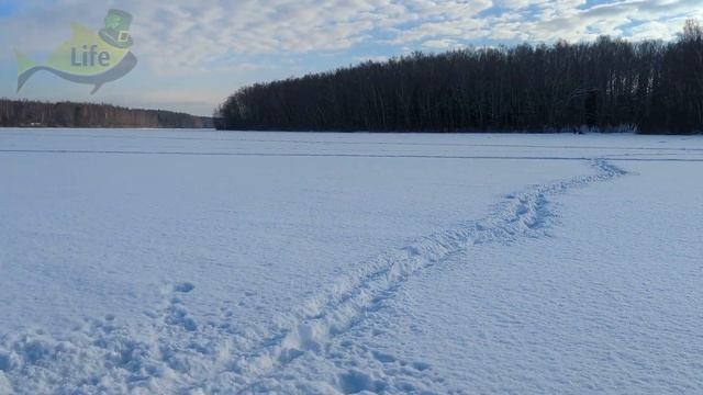 5 секретов ловли плотвы зимой. Как на что и где ловить плотву зимой? смотреть онлайн
