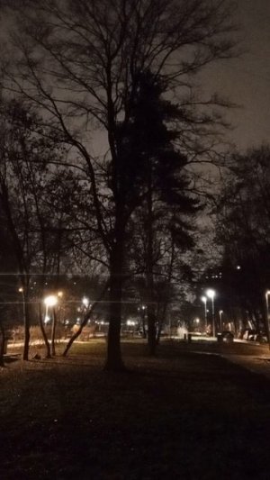 VID_20251218_184957