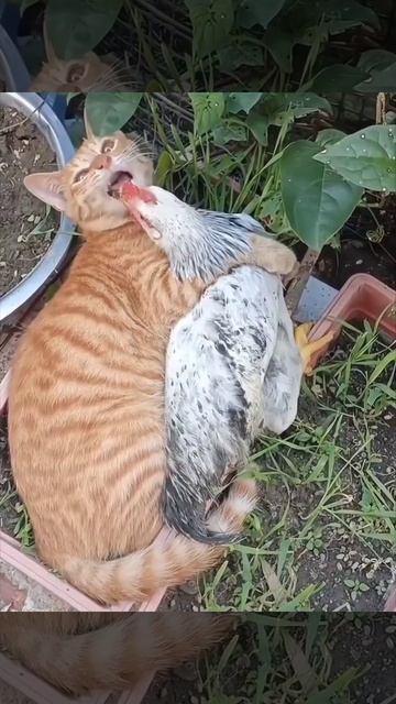 С кем поведешься.. смотреть онлайн