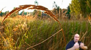 Плоскость мышления.