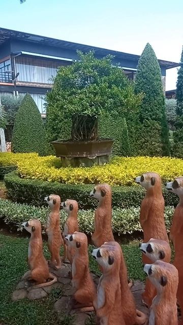 Ты знал, что такой сад есть в Таиланде? Что скрывает Nong Nooch? смотреть онлайн