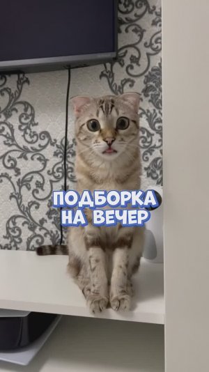 Я смотрела, например, мама в 16 👍