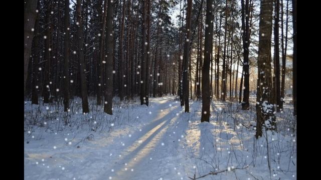 БЕЛЫМ СНЕГОМ ТРОПИНКУ ЗАНЕСЛО.ЛЮБИМЫЕ ПЕСНИ НАШИХ РОДИТЕЛЕЙ. смотреть онлайн