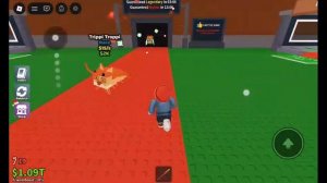 розыгрыш крутых брейнводов