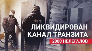 500 миллионов на фиктивных визах: силовики накрыли крупный канал нелегальной миграции