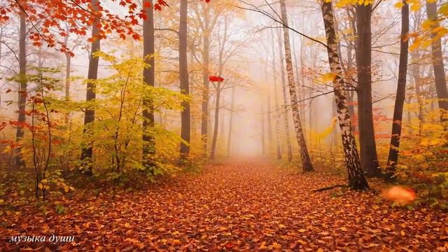 Музыка Для Души Сергей Грищук @музыкадуши1