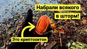 Набрали с женой полные рюкзаки! Сбор после шторма!