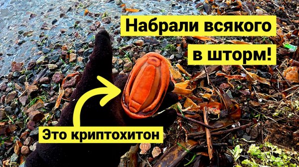 Набрали с женой полные рюкзаки! Сбор после шторма!