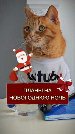 Планы на новогоднюю ночь