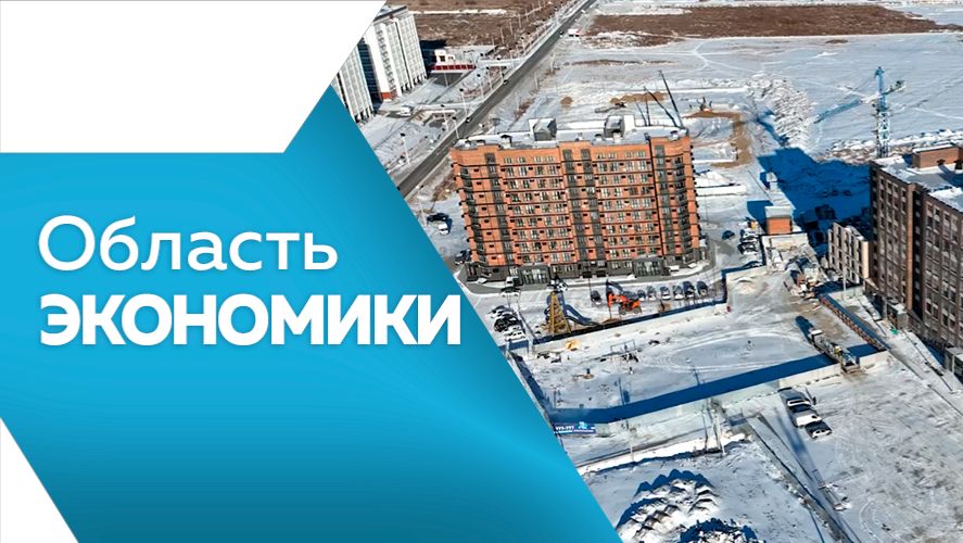 Область экономики №165