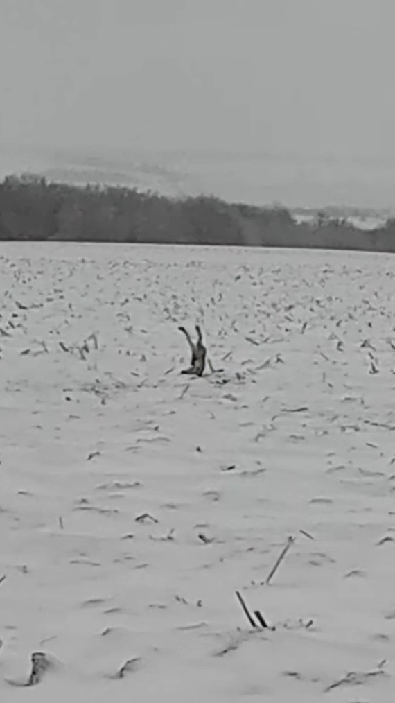 24-12-2025 смотреть онлайн