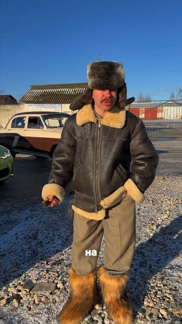 Форд мустанг и Волга 21