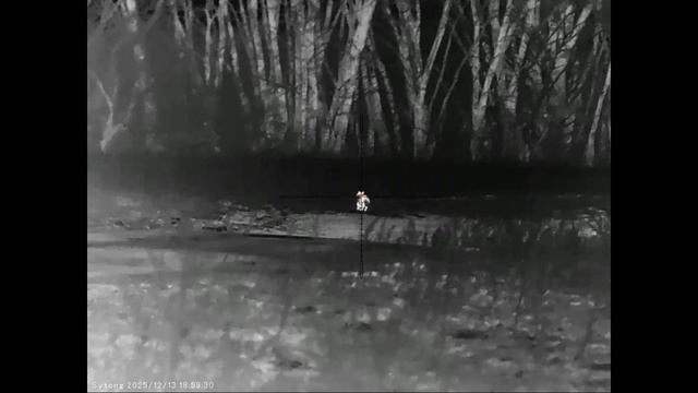 Четыре экстремальных вечера охоты на шакала в Волгоградских степях. смотреть онлайн