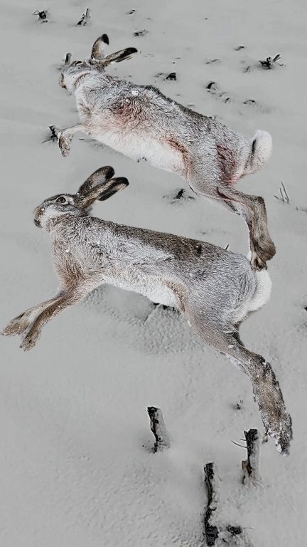 24-12-2025 смотреть онлайн