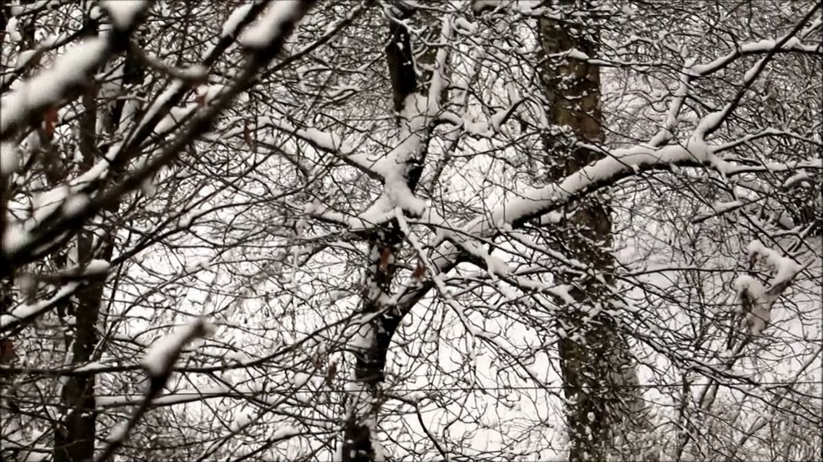 В отличие от прогнозов снег пошел смотреть онлайн