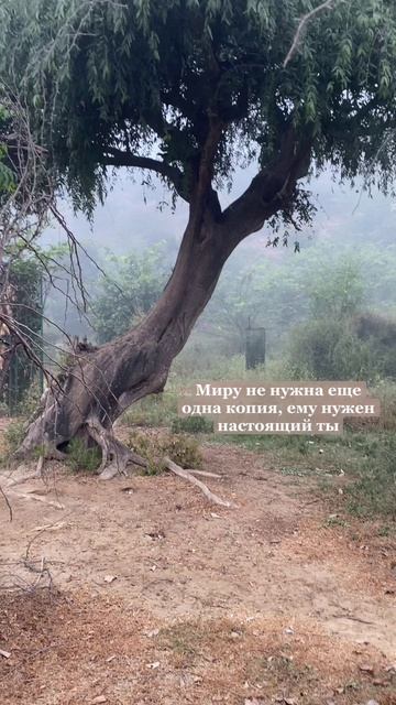 Послание дня для тебя