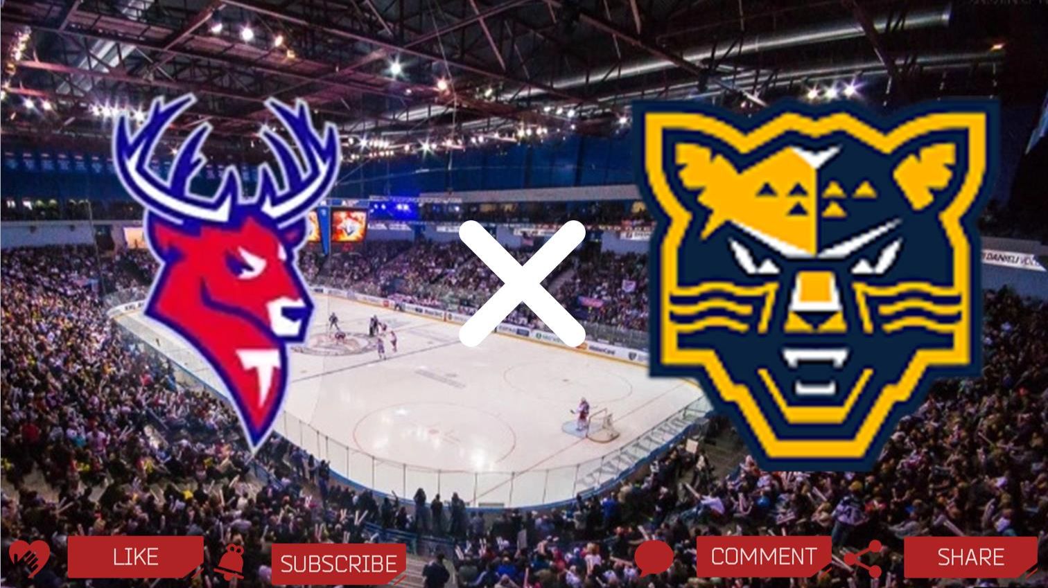 Торпедо - Сочи | Текстовая трансляция