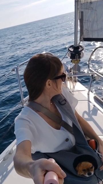 Встреча с дельфинами в Сочи. Морская прогулка