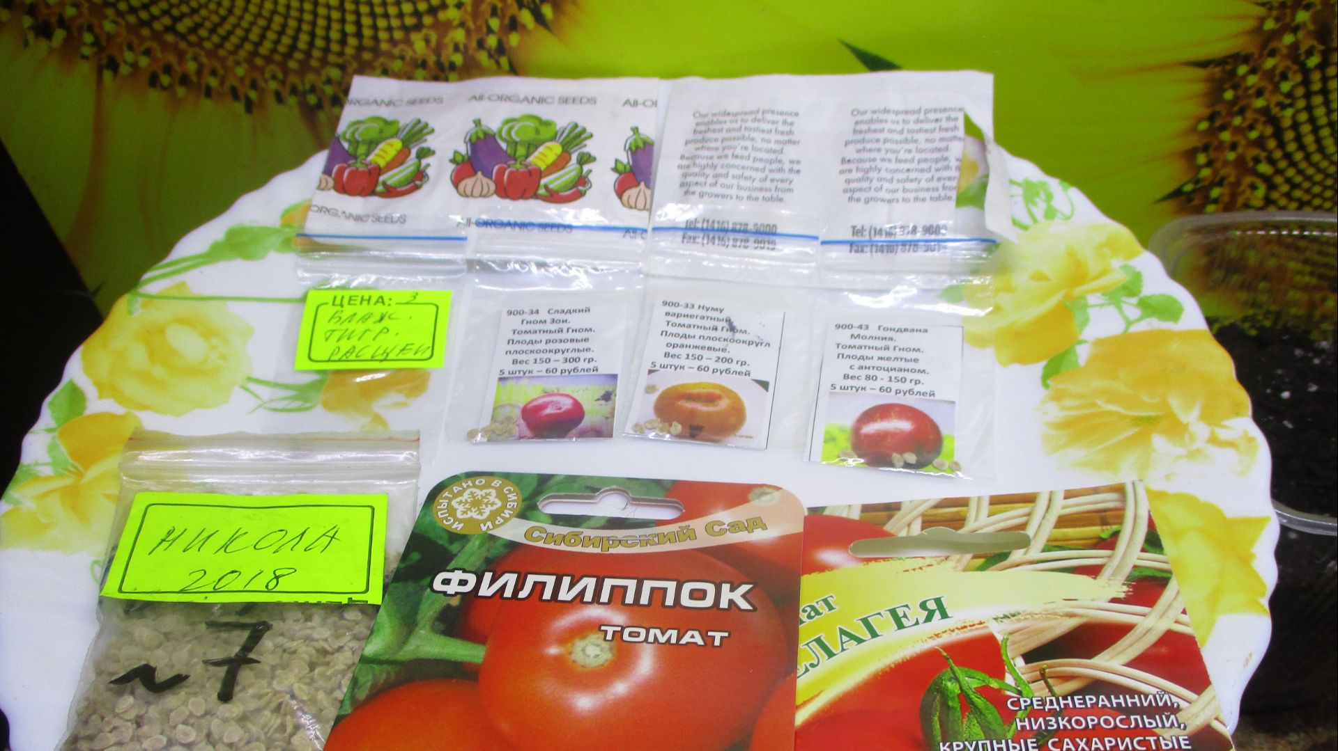 Посеяла семена томатов с ОЗОНа! Проверяю всхожесть семян с ОЗОНА заранее! смотреть онлайн