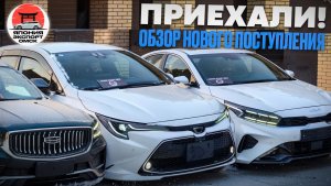 Японские авто в России | Что они стоят и как они выглядят?