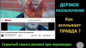Учись работай здохни - смысл ролика Съел две шляпки мухамора. Полное разочервоание