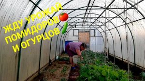 РАБОТЫ НЕ ПОЧАТЫЙ КРАЙПРИСТУПАЕМ✅️