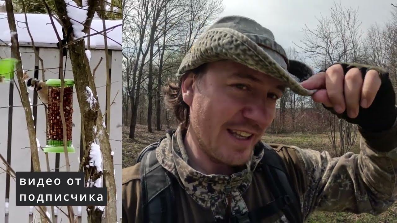 Неясыть и вяхирь. Кто открывает кормушки. Дневник натуралиста, 13.04.2024 г. смотреть онлайн