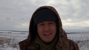 Помощь каналу// Почему я хочу стать воробьём?