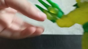 1000001931.mp4