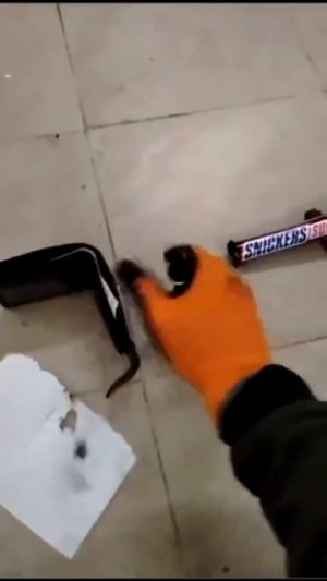 ни за что не поднимай найденные вещи, как? до смотри это видео до конца чтобы понять