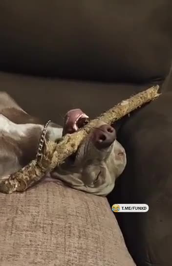 Миссия выполнена. Можно и поспать😆 смотреть онлайн