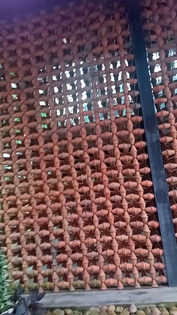 Nong Nooch: пустыня внутри джунглей смотреть онлайн