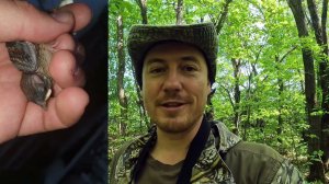 Проверка дуплянок. Дневник натуралиста. 17 мая 2023