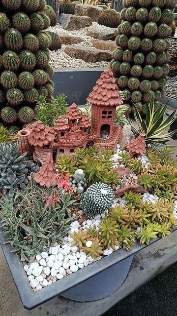 Nong Nooch: где кактусы цветут под пальмами Колючая поэзия в тропиках смотреть онлайн