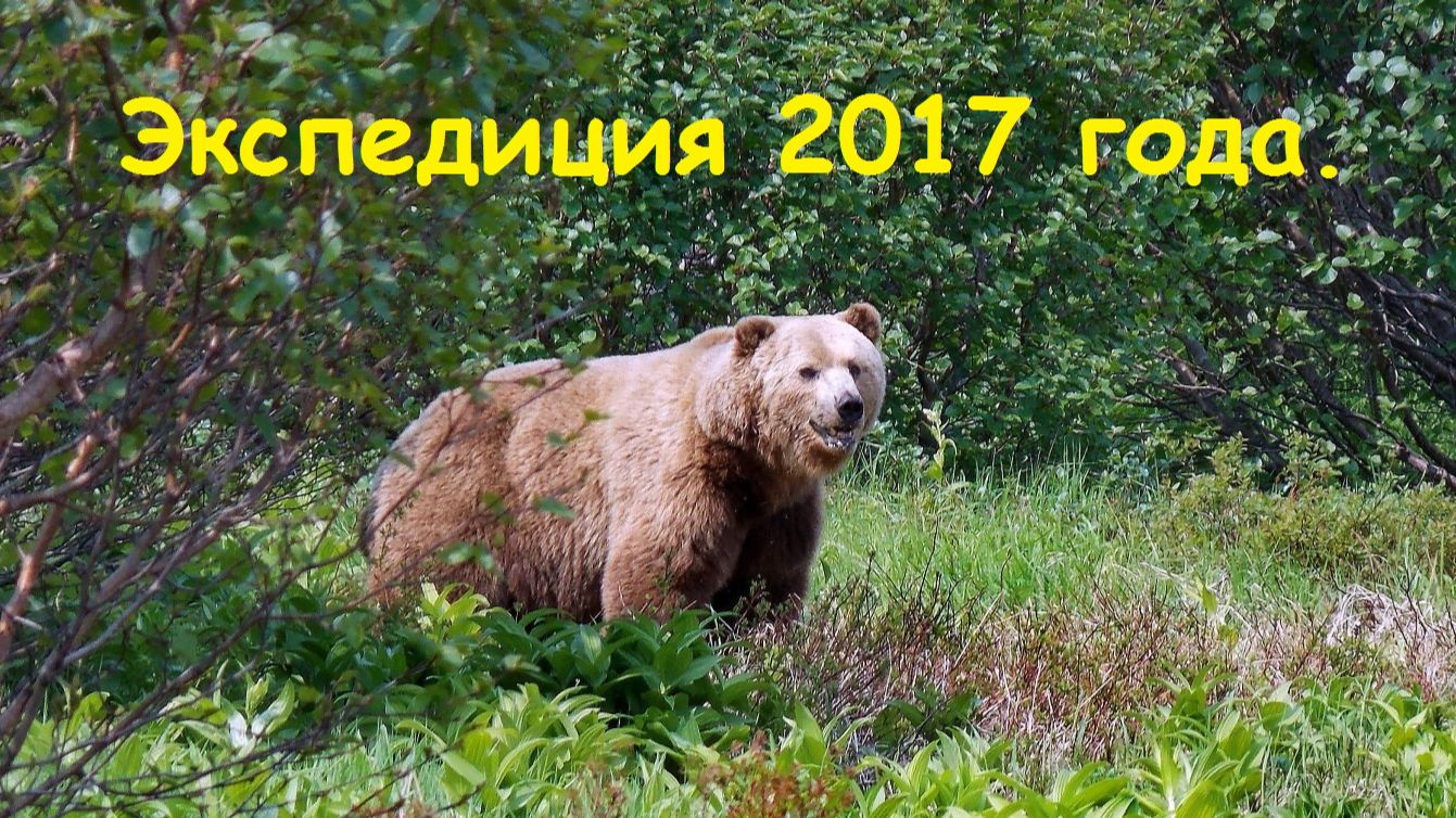 Экспедиция 2017 года. смотреть онлайн