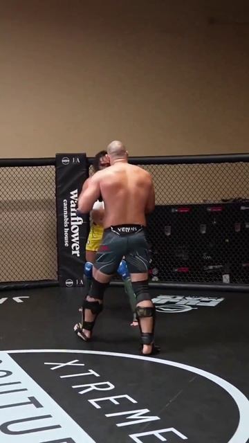 Шон Стрикленд и Мишель Перейра — жёсткий спарринг 👀 смотреть онлайн