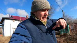 На каком расстоянии вешать друг от друга скворечники и синичники?